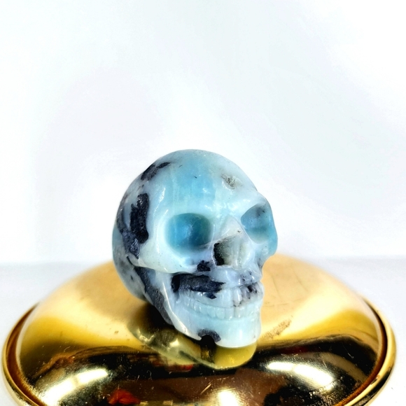 Indigo Other - Amazonite Carved Crystal Skull